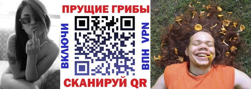 даркнет сайт  дарк нет Telegram  OMG   Псилоцибиновые грибы Cubensis  Дыгулыбгей 