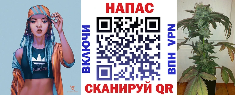 наркошоп Дыгулыбгей Конопля сатива